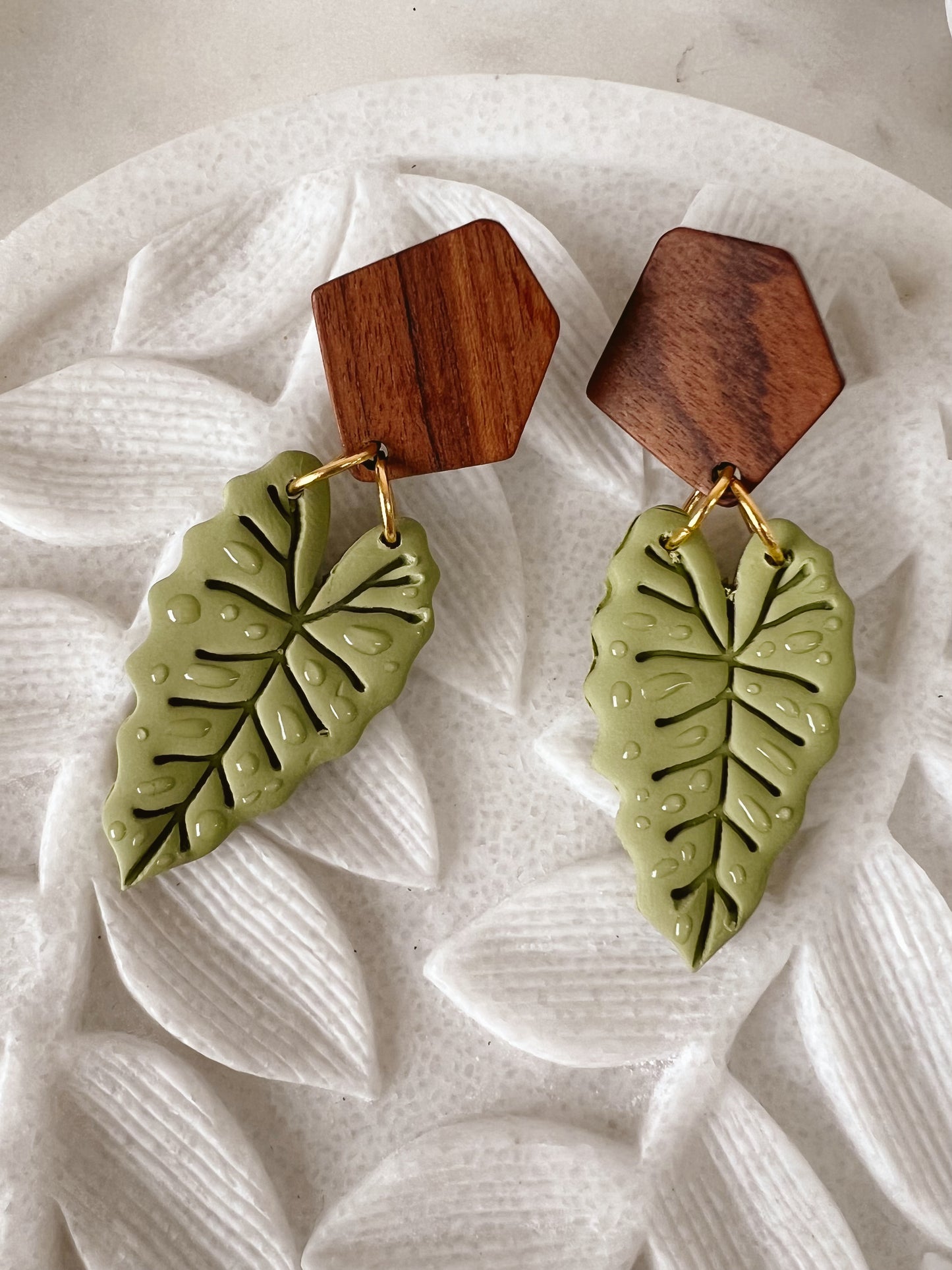 Dew Drop Monstera Dangle