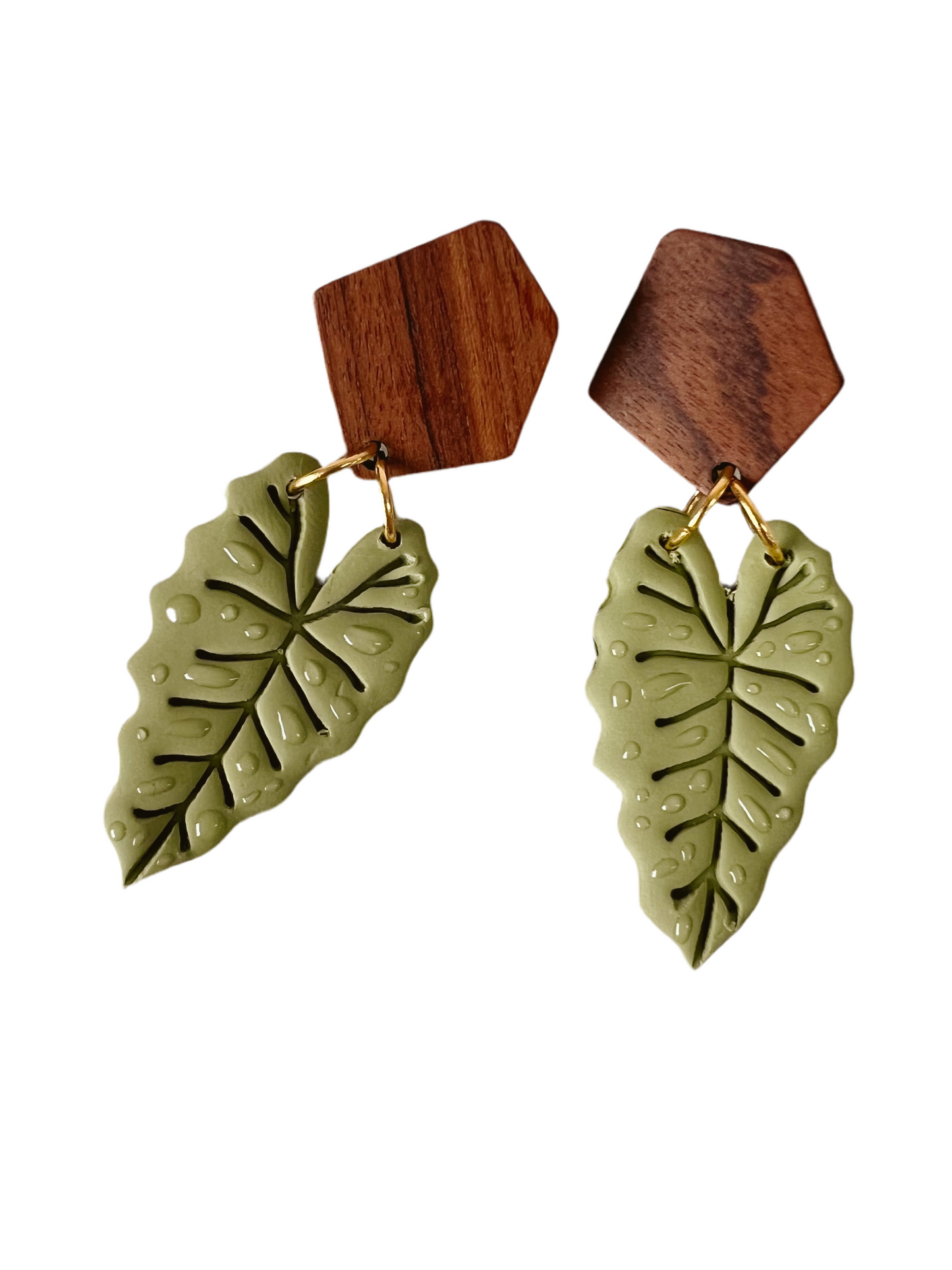 Dew Drop Monstera Dangle